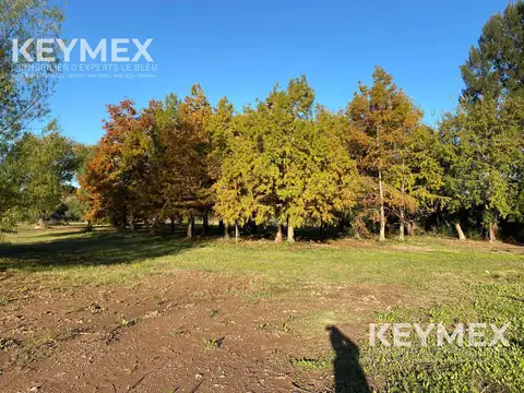 Terreno con muro perimetral,salida a 2 calles, lago y añeja arboleda.Villa Rosa, Pilar. Oportunidad!