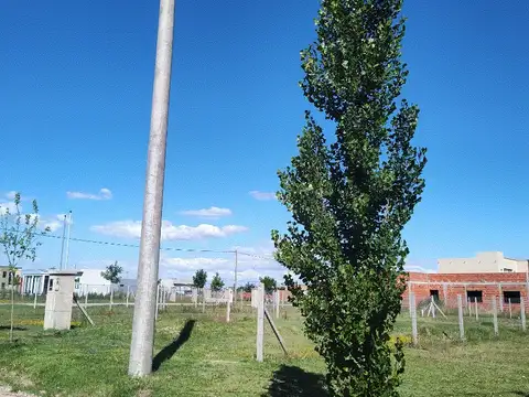 barrio estilo campo 100