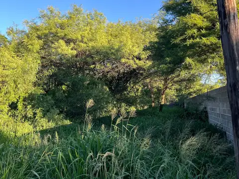 Terreno en Venta de 1100,0 m2