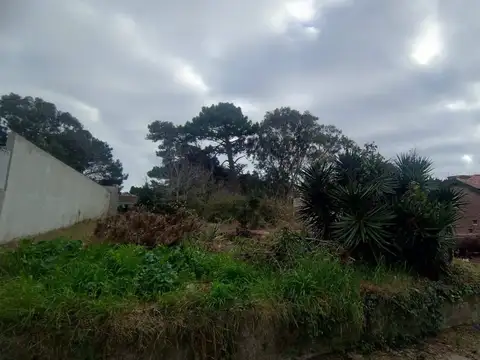 Terreno en Venta 30  mts Fondo