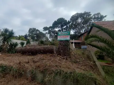 Terreno en Venta 16  mts Frente