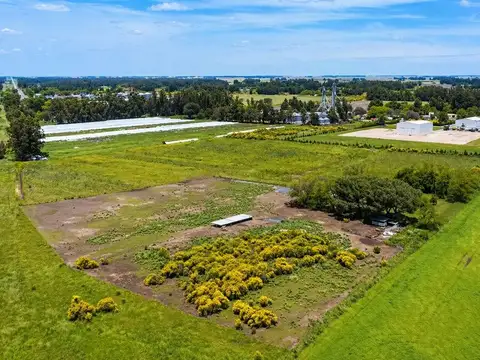 Terreno en Venta de 60000,0 m2