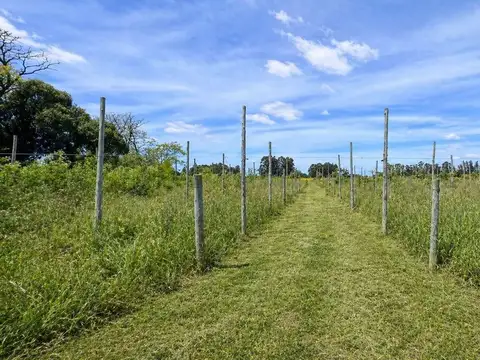 Terreno en Venta en Tamangueyu, USD 175.000