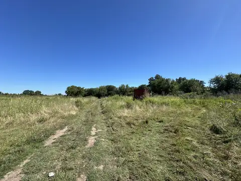 Campo 5 has. en venta en Ibarlucea