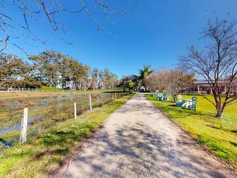 Quinta en venta en La Plata - Dacal Bienes Raíces