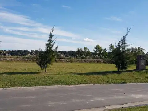 El Naudir 300