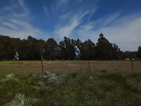 Terreno en Venta en Tres Arroyos, USD 40.000