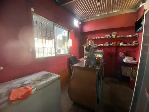 Germán Burmeister 1500