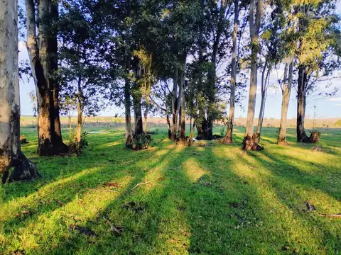 Camino Vecinal y Ruta 3 Gral. José G. Artigas