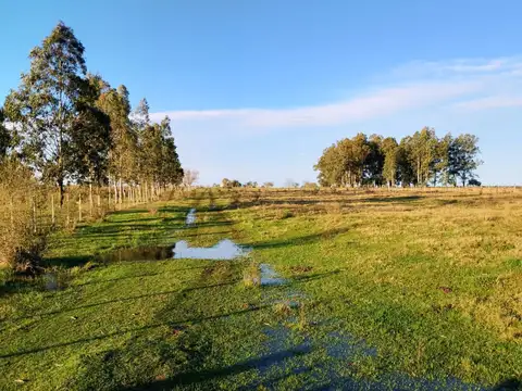 Camino Vecinal y Ruta 3 Gral. José G. Artigas