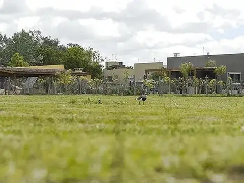 Terreno en Venta en Manzanares, USD 43.000