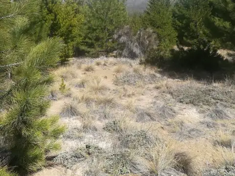 Terreno en Venta de 1120,0 m2