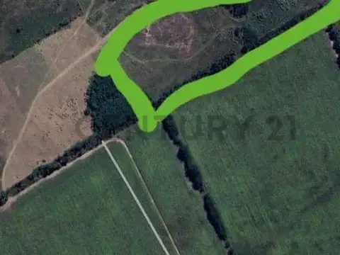 Terreno en Venta de 85000,0 m2