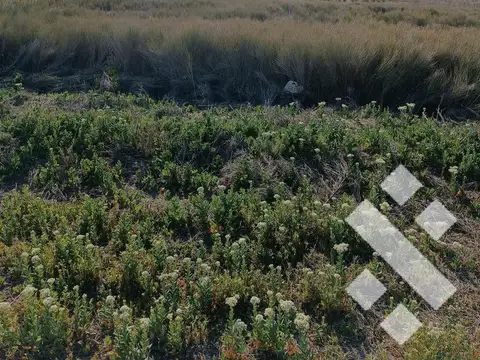 Venta  Terreno  Quintas del Sauzalito, Cipolletti Rio Negro