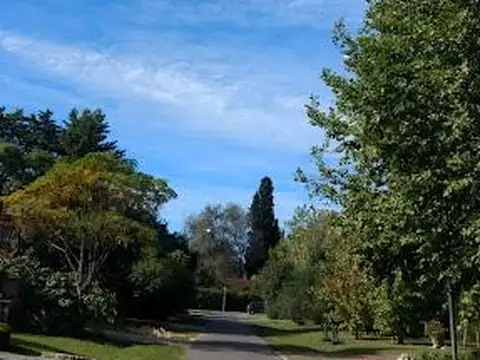 hipolito yrigoyen  al 2800