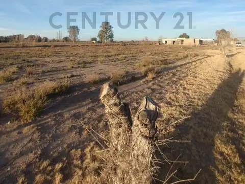 El Salto 800, Piso 0