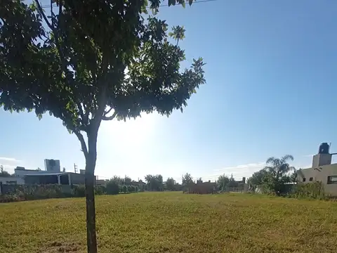 El Lucero y Martin fierro