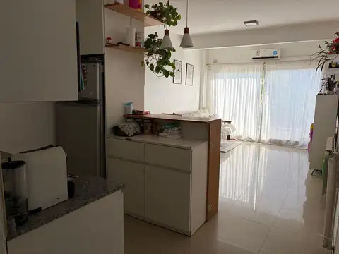 Venta Depto Dúplex 2 Amb Luminoso Villa del Parque