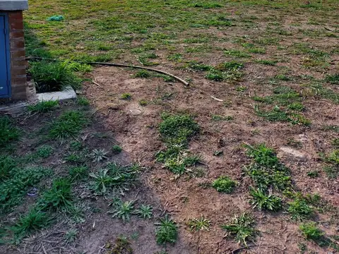 Santa Elisa, Pilar del Este