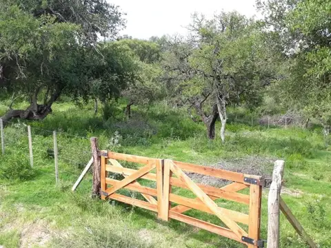 Lotes en venta a metros del Arroyo Benítez 