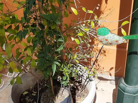 Casa en Alquiler Temporal con 2 cocheras