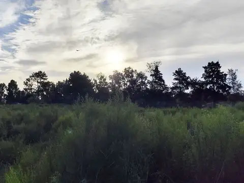 Terreno en Venta en Colonia del Sacramento, USD 50.000