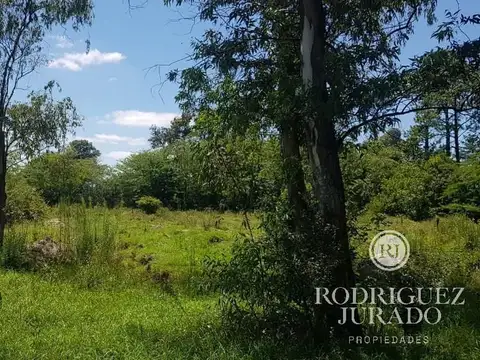 Terreno - Venta - Argentina, Tigre