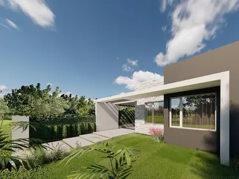 LAS COTORRAS ORO VERDE 100