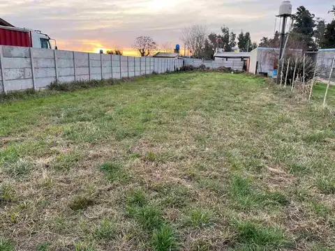 EN VENTA LOTE 11X42 CALLE LOS TILOS 