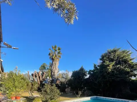 Indio Cua Ruta 6 100