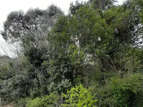 Terreno en Venta en 20 de Junio, USD 40.000