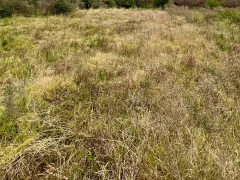 Venta Campo 18.970 Has sobre arroyo. Costa Azul