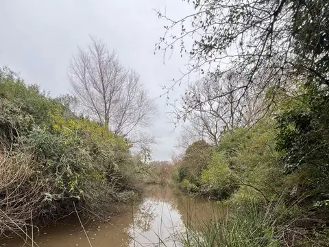 Venta Campo 18.970 Has sobre arroyo. Costa Azul
