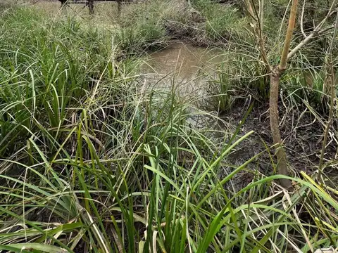 Venta Campo 18.970 Has sobre arroyo. Costa Azul