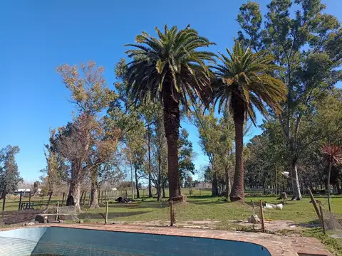 Terreno en Venta en Coronel Brandsen, USD 246.000