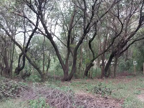 Terreno en Alquiler en Las Chacras, USD 25.000