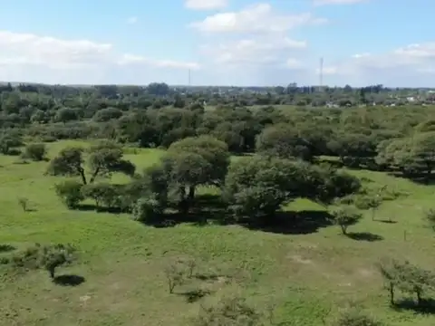 Terreno en Venta de 61692,0 m2