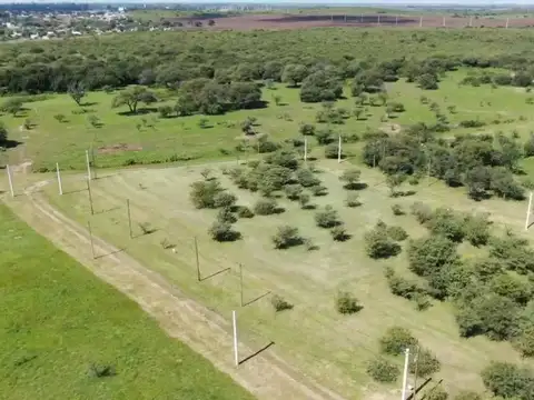 Terreno en Venta de 61692,0 m2