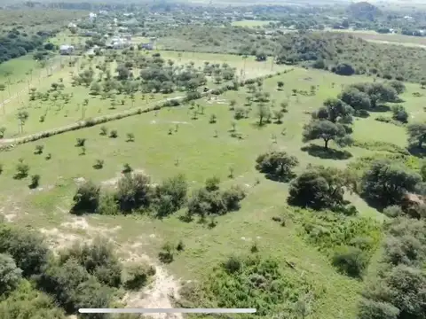 VENTA MACROLOTE 60.000 M2 VILLA DEL TOTORAL