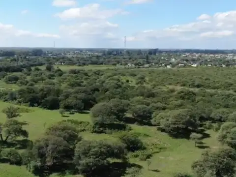 VENTA MACROLOTE 60.000 M2 VILLA DEL TOTORAL