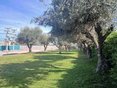 Terreno en Venta 18,92  mts Fondo