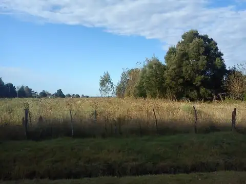 Campo en Venta con Alambrado