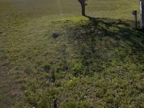 Terreno en Venta en Santa Rosa de Calamuchita, USD 49.500