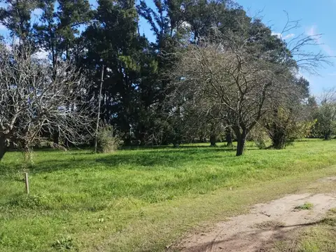 Terreno en Venta en La Plata, USD 4.000