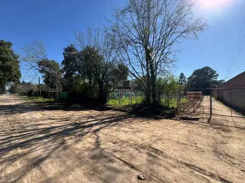 Peter Tchaicovsky 7000