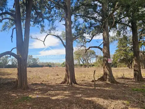 Terreno Lote  en Venta en Barrio Parque Los Pinos, Exaltación de la Cruz, G.B.A. Zona Norte