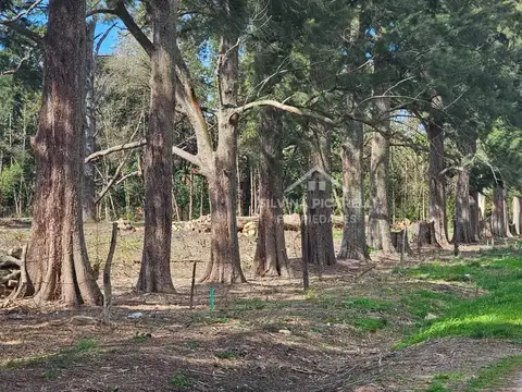 Terreno en Venta en Los Pinos, USD 45.000