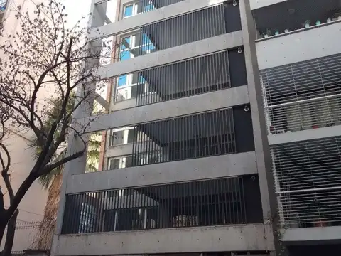 FLORES. CURAPALIGUE 200