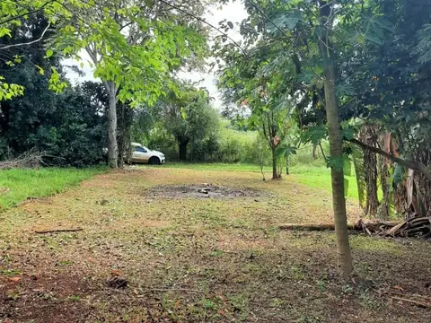 Encarnación Escurra