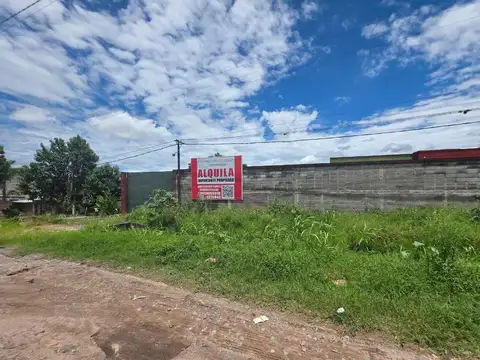 RUTA 305 . Entre Calle  25